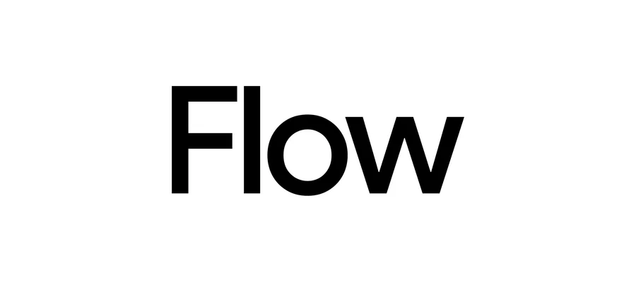 Google Flow